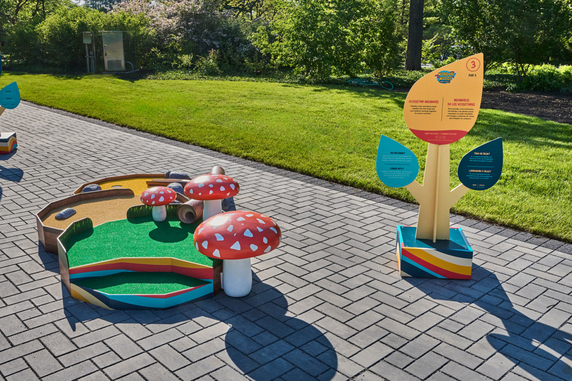 The Morton Arboretum