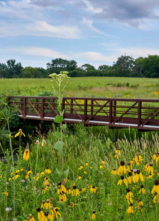 The Morton Arboretum