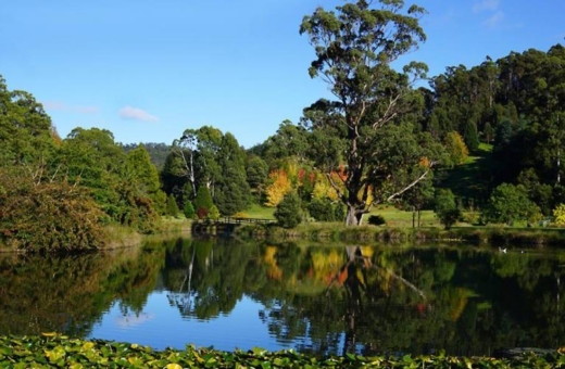 The Morton Arboretum