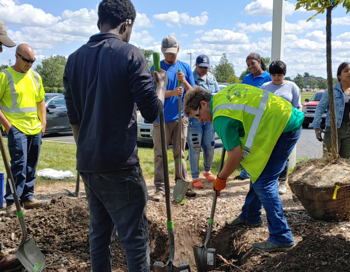 The Morton Arboretum
