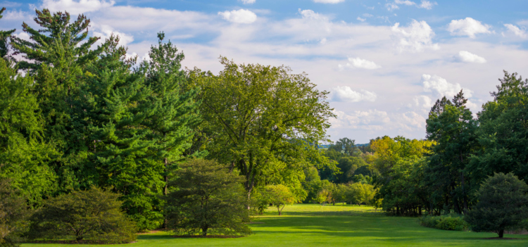 The Morton Arboretum