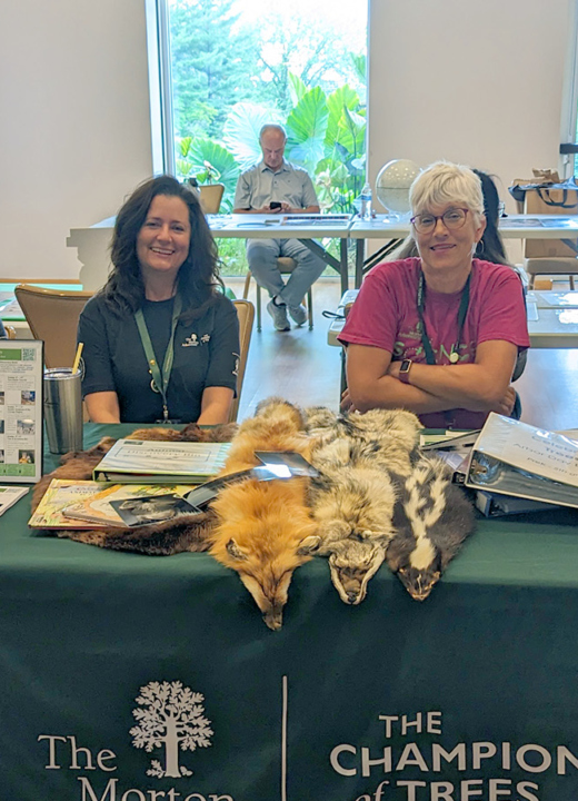 The Morton Arboretum