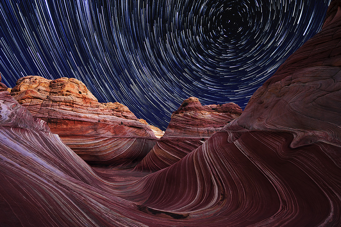 The Morton Arboretum