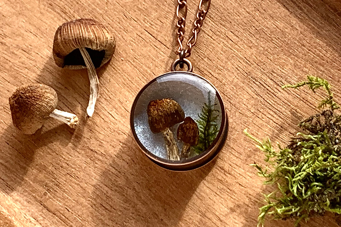 The Morton Arboretum