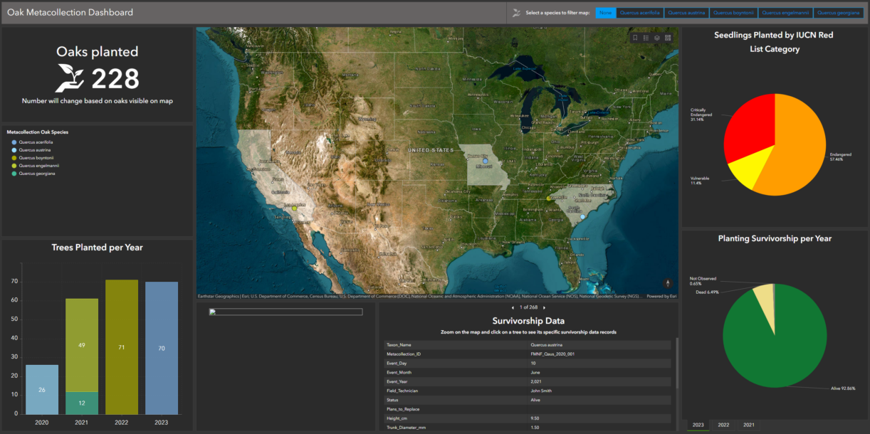 The Morton Arboretum