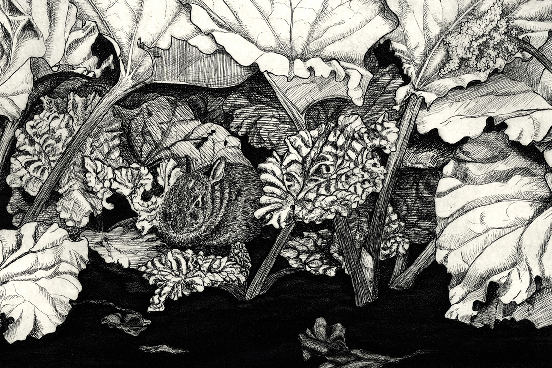 The Morton Arboretum