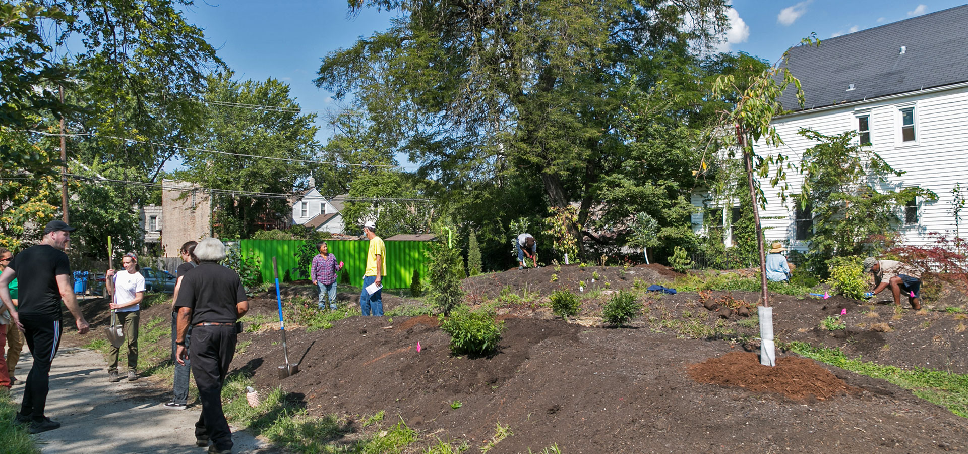 The Morton Arboretum