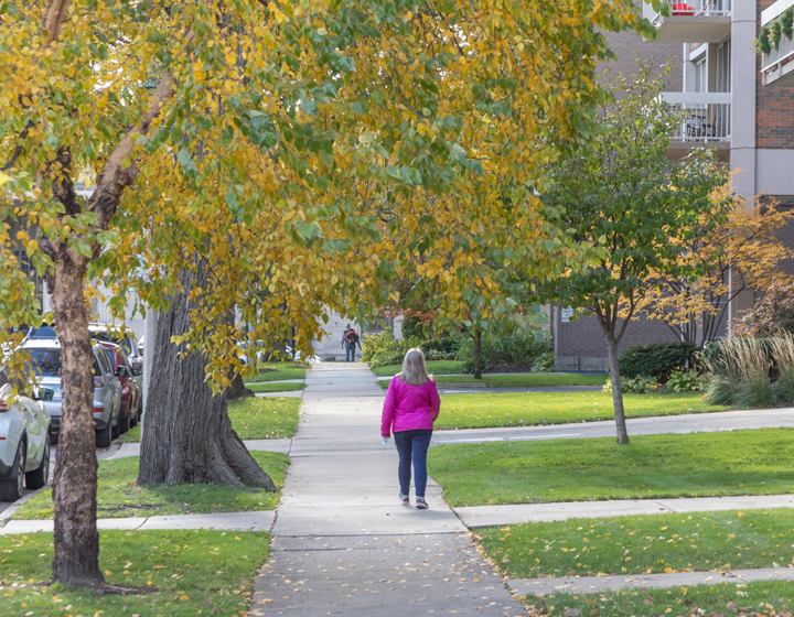 Photograph of a person walking down a tree-lined urban street