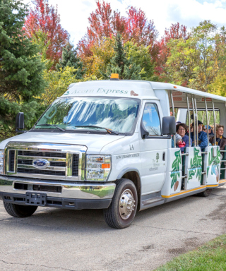 Photograph of the Acorn Express tram tour during the fall