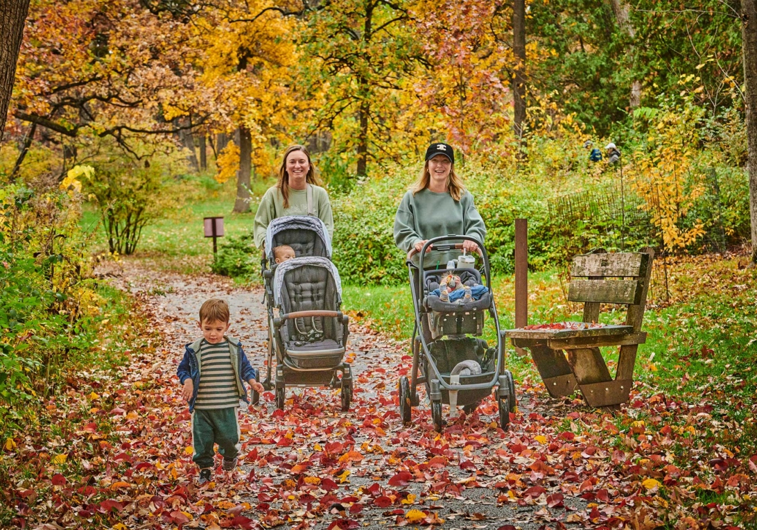 A photograph of two families pushing strollers along a paved path at The Morton Arboretum during the fall color season