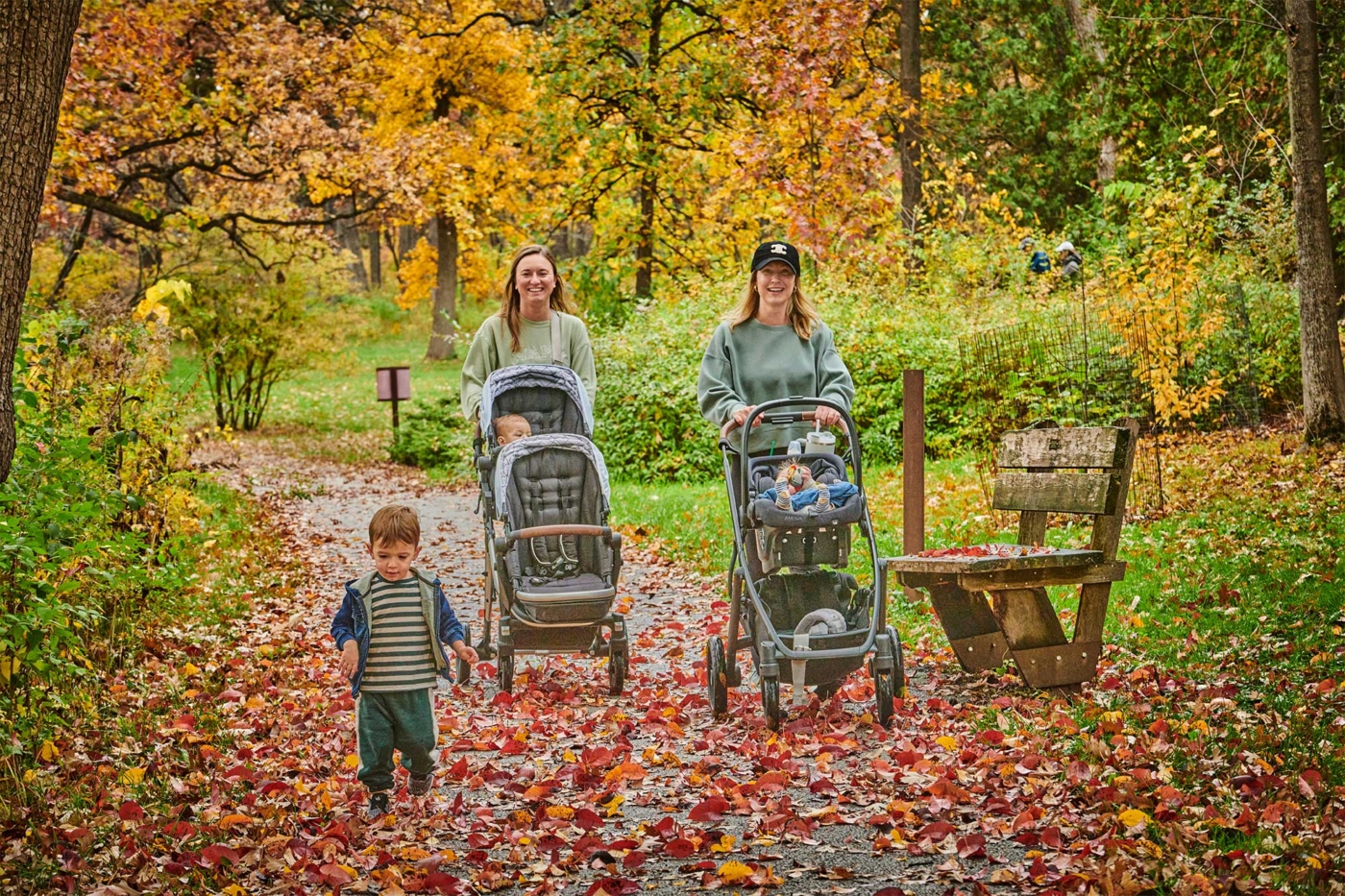 A photograph of two families pushing strollers along a paved path at The Morton Arboretum during the fall color season