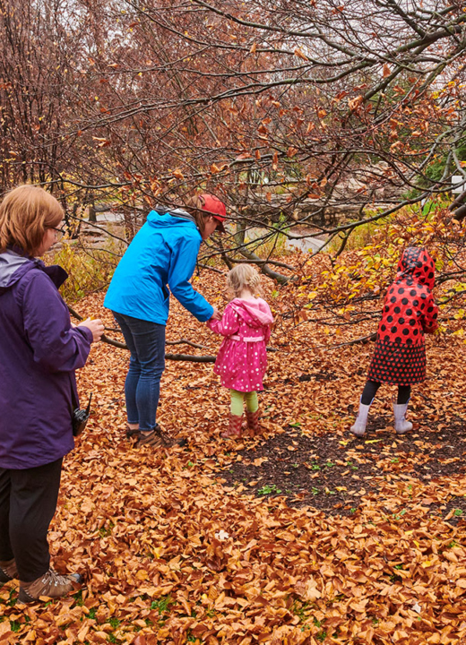 A family group with children playing in orange leaves fallen on the ground