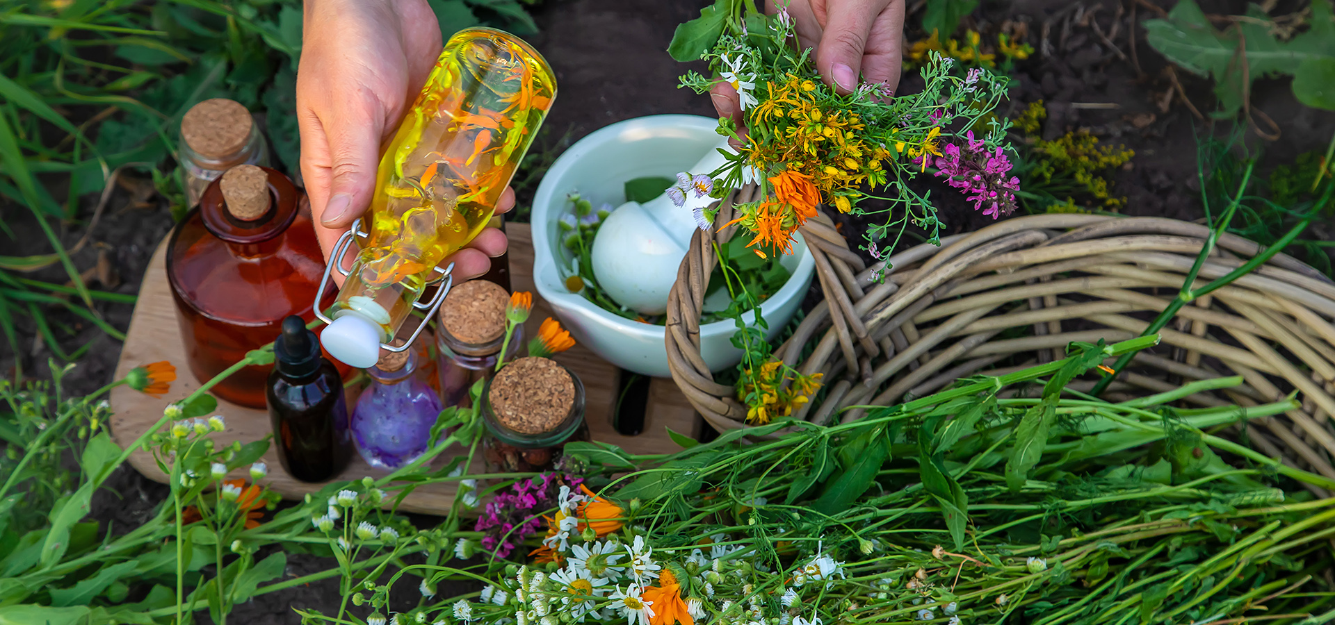 A photograph of a gardener preparing herbal tinctures using fresh greens