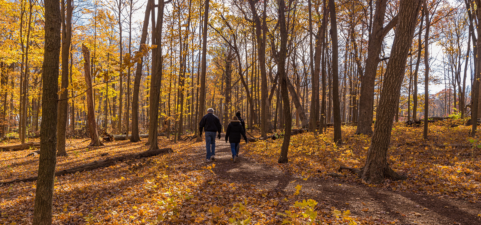 Photograph of three guests walking through The Morton Arboretum's East Woods