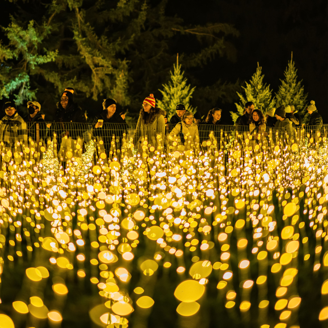 Families enjoying one of the light displays on the Illumination trail
