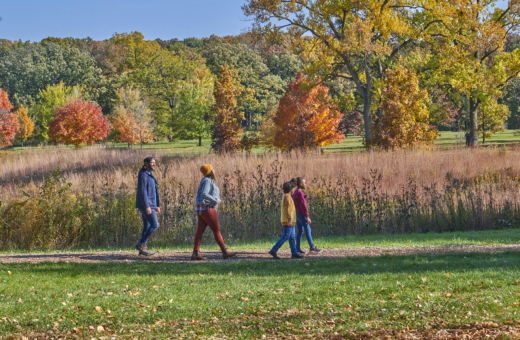 The Morton Arboretum