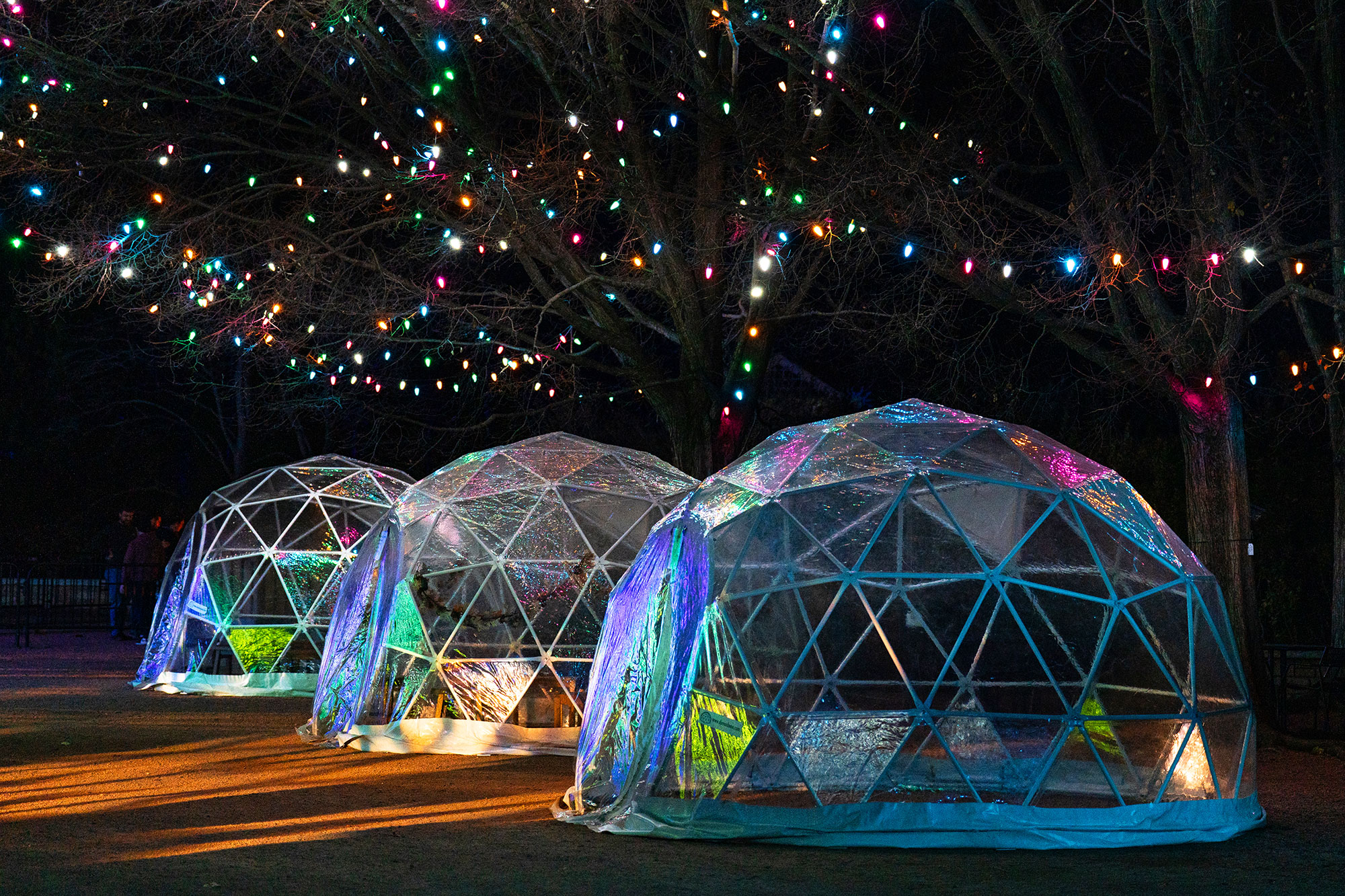 IllumiDomes under strings of colorful lights