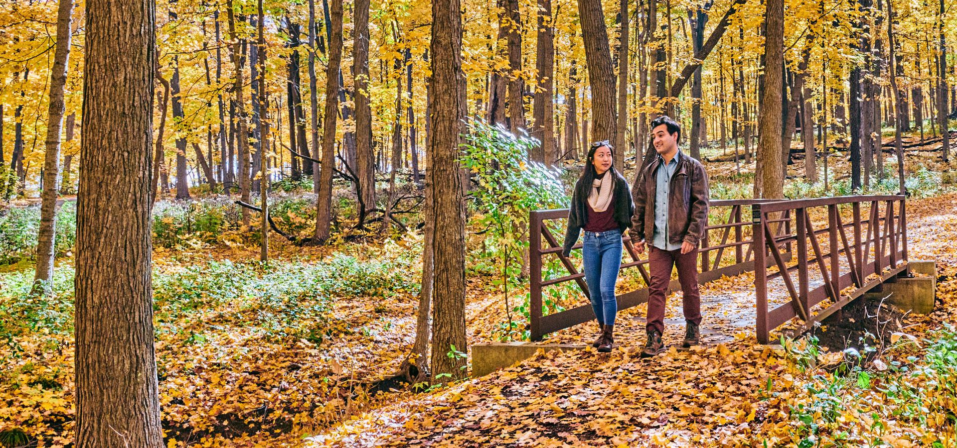 Photograph of a young couple walking through orange-colored leaves in the East Woods of The Morton Arboretum