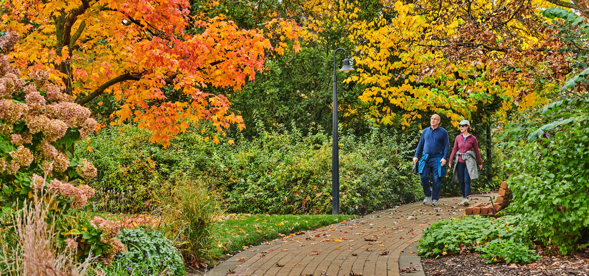 Photograph of two visitors walking under fall canopy on the Joy Path found on The Morton Arboretum's West Side