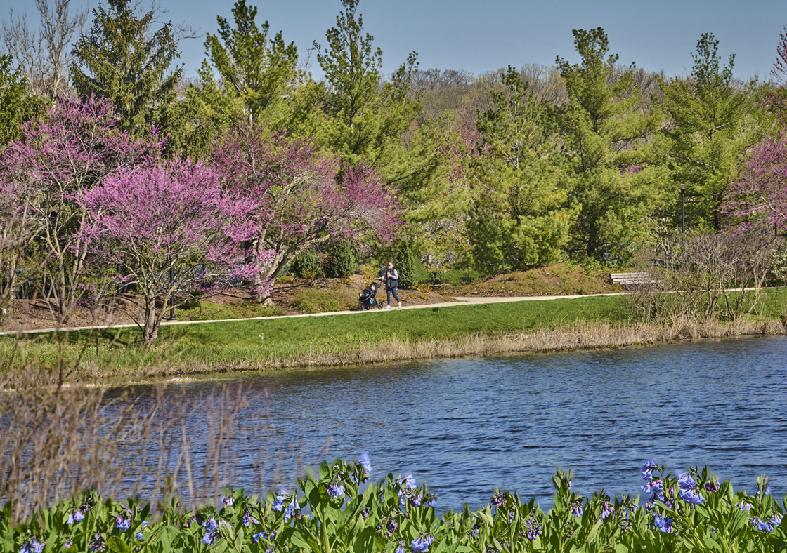 The Morton Arboretum