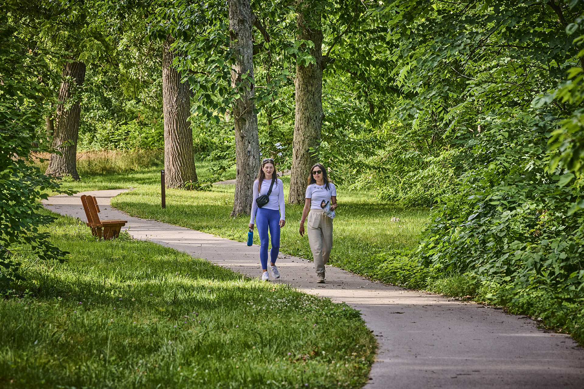 The Morton Arboretum