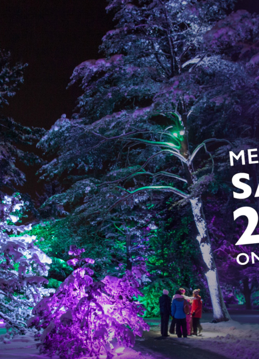 The Morton Arboretum