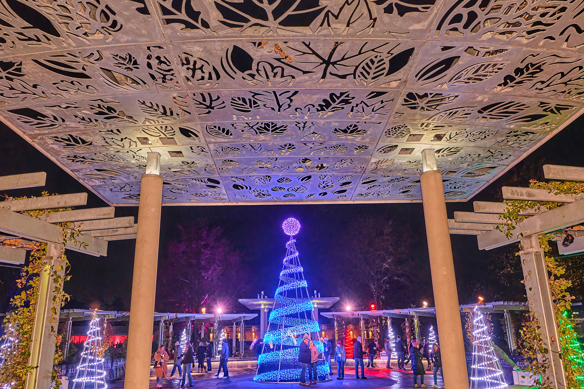 Photograph of installations in the Grand Garden illuminated by colorful lights part of Illumination: Tree Lights at The Morton Arboretum