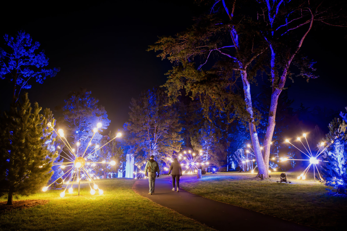 Light installation along a walking path during Illumination: Tree Lights at The Morton Arboretum
