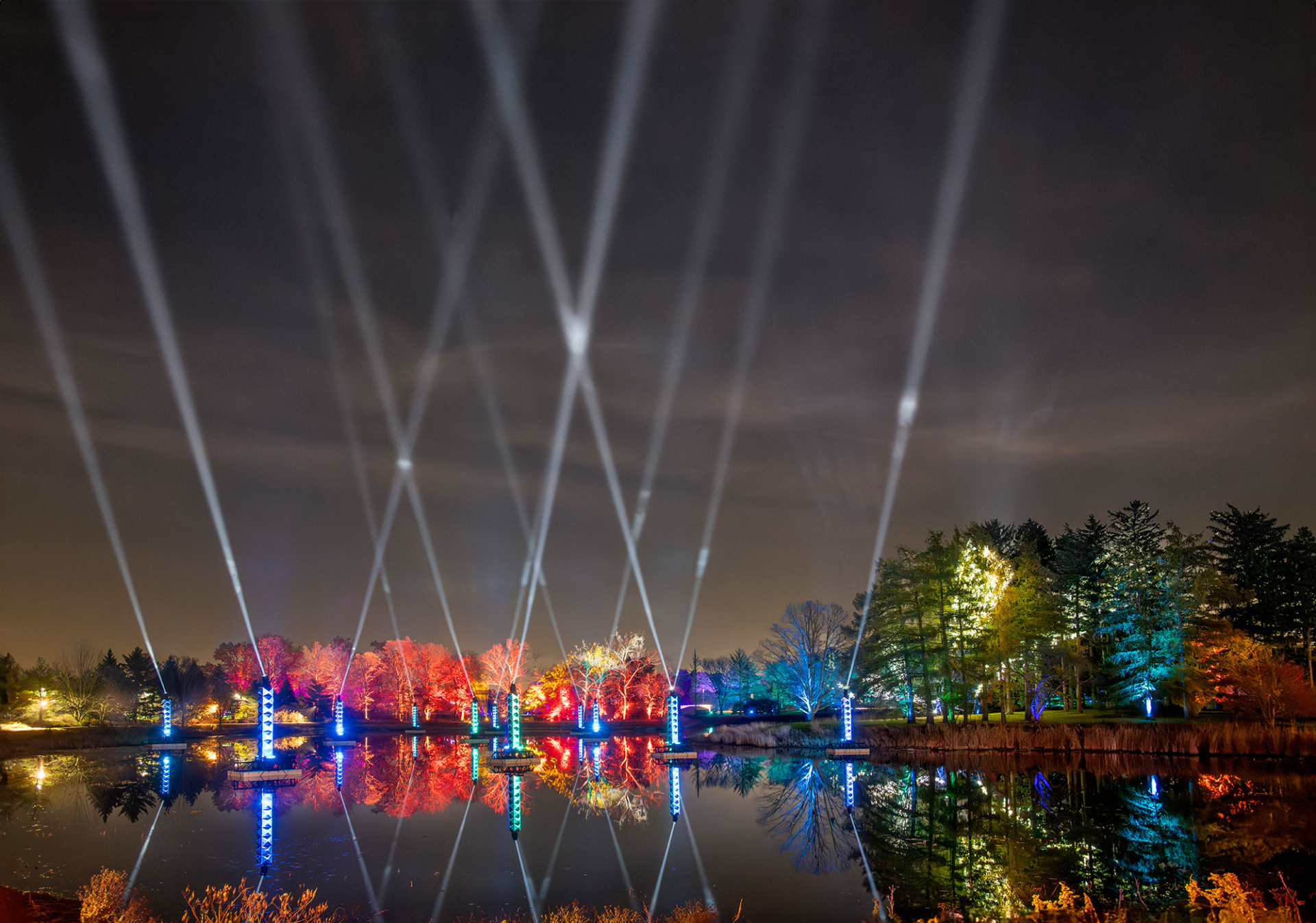 Searchlights in the night sky during Illumination: Tree Lights at The Morton Arboretum