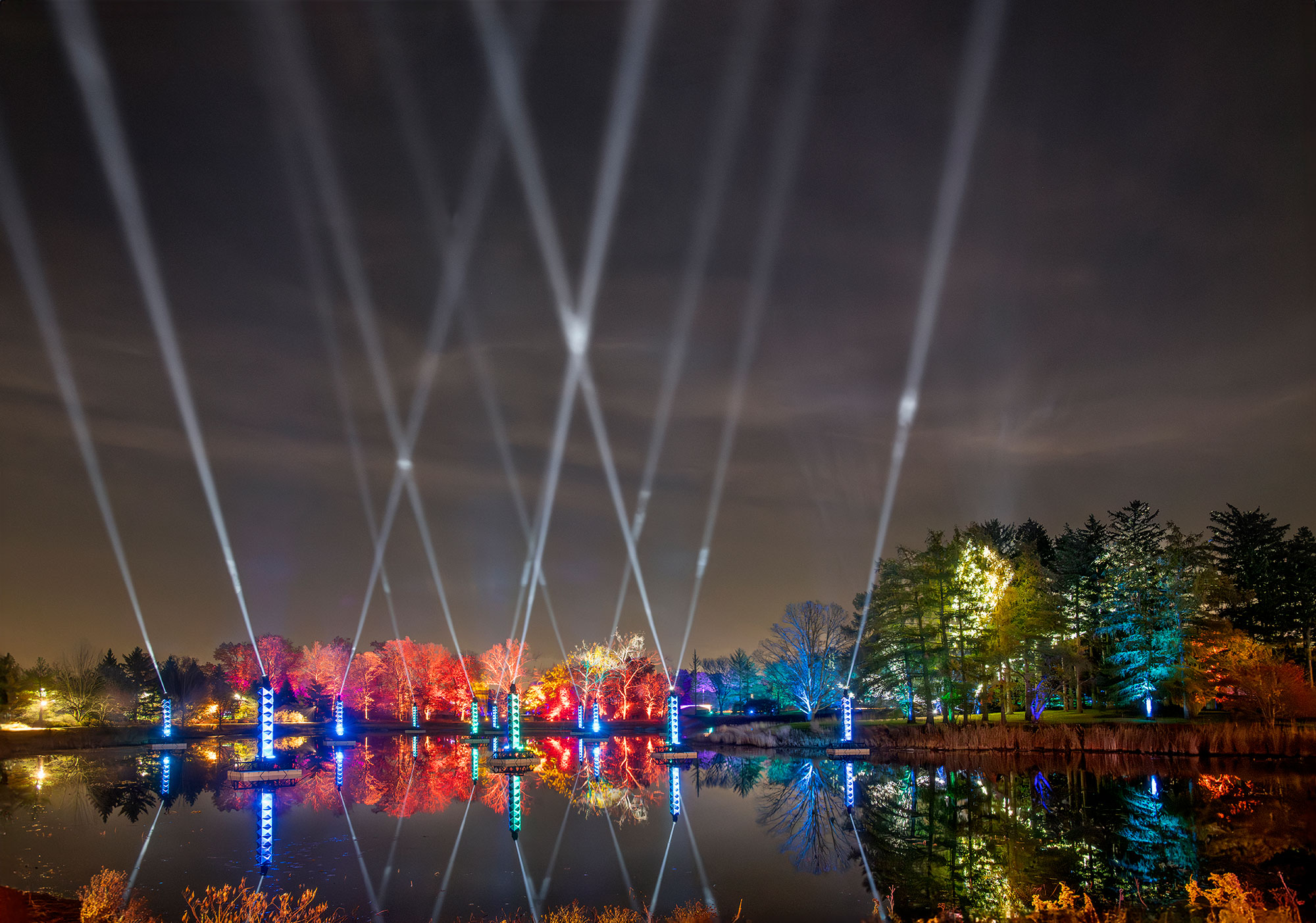 Searchlights in the night sky during Illumination: Tree Lights at The Morton Arboretum