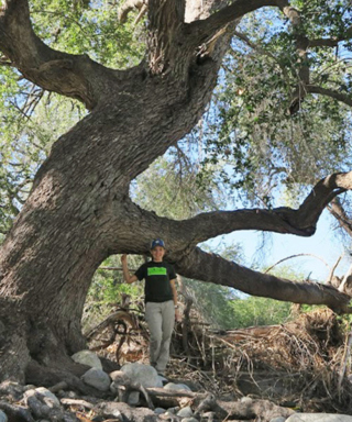 The Morton Arboretum