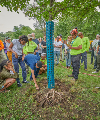 The Morton Arboretum