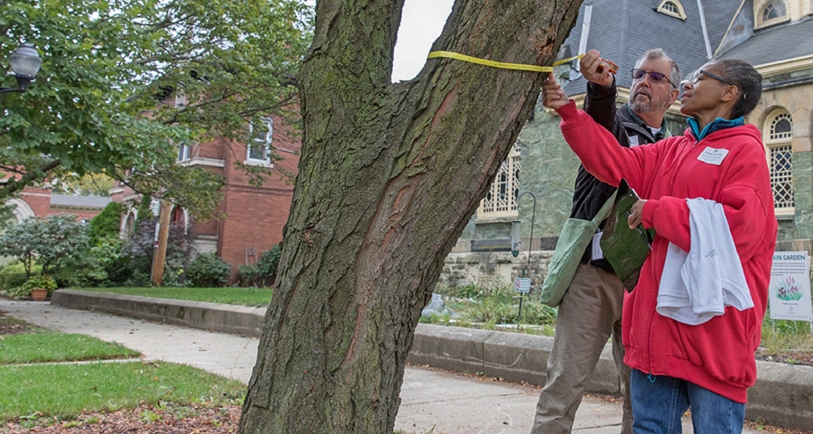 The Morton Arboretum