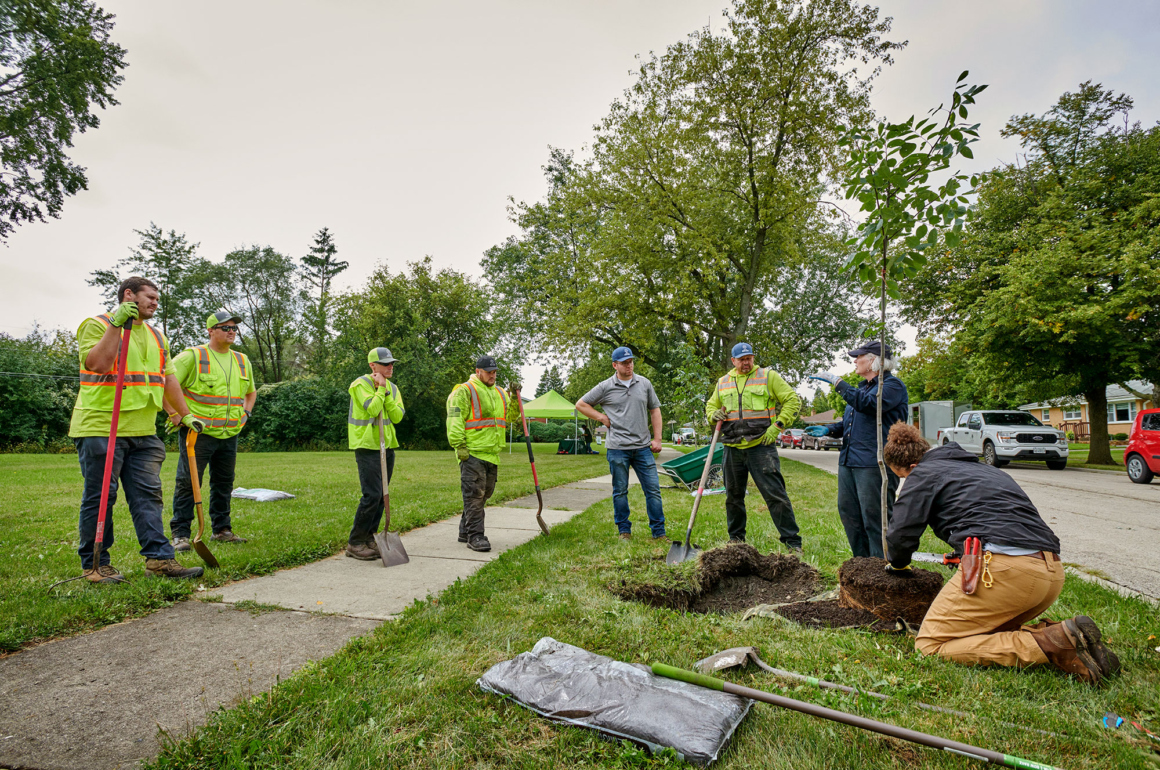 Urban Forestry Basic Training participants learn to plant trees