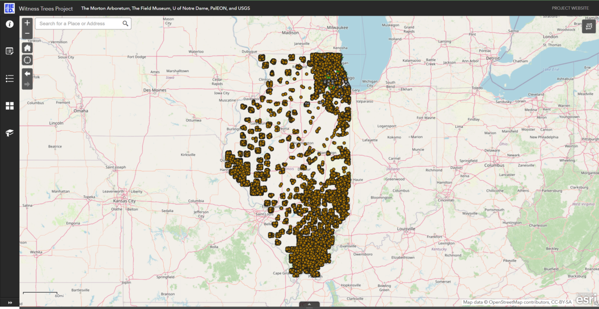 The Morton Arboretum