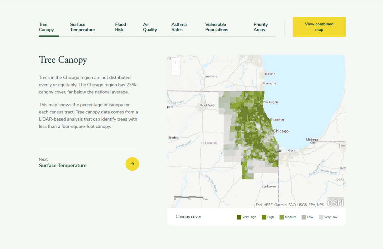 The Morton Arboretum