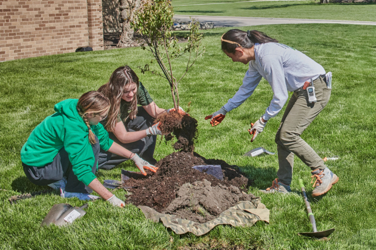 CRTI organizers and volunteers plant a tree in a lawn