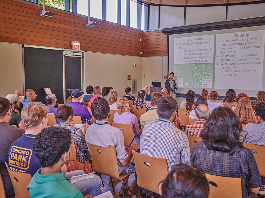 Undergraduate Research Symposium in the Sycamore Room