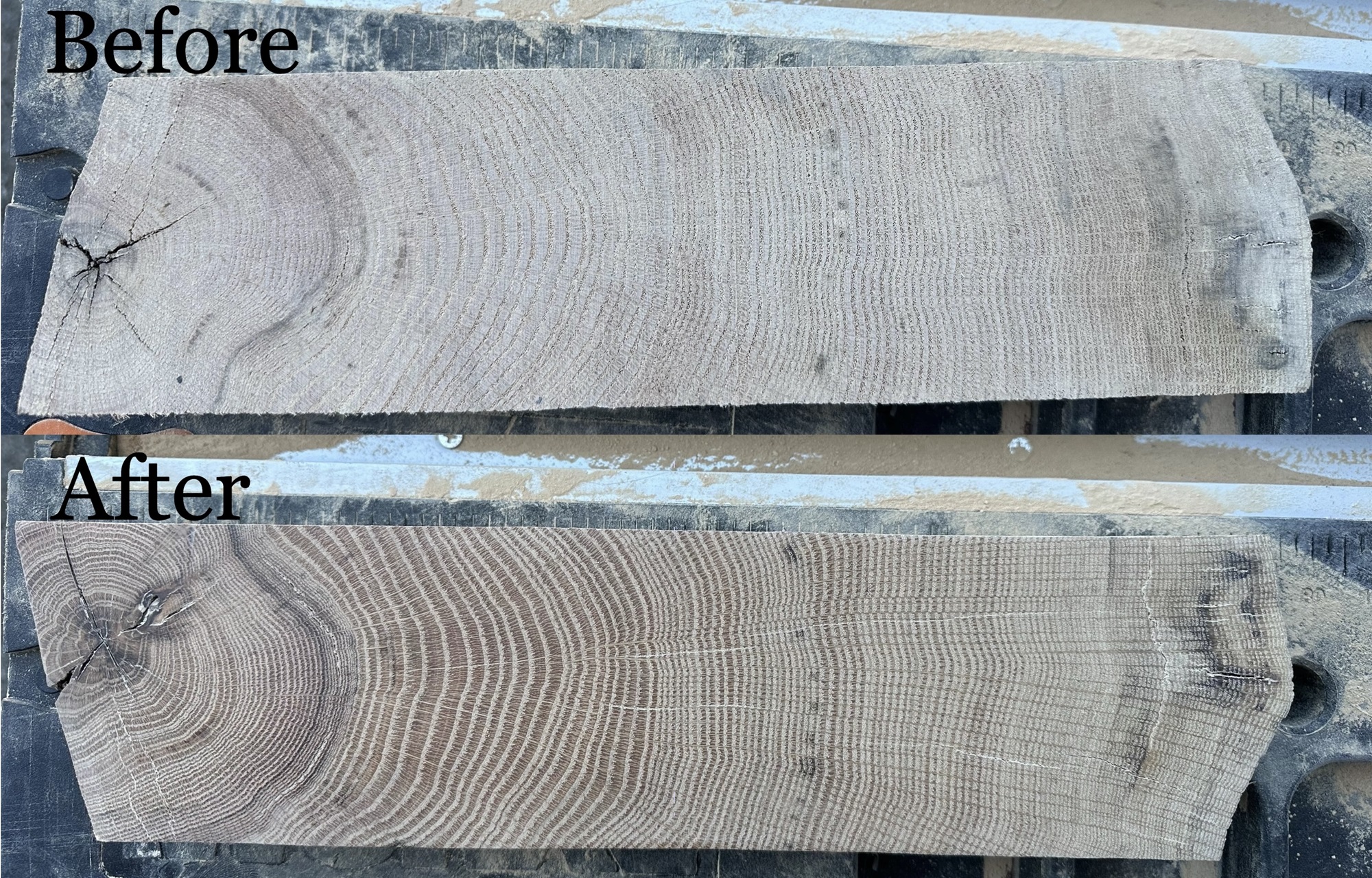 The Morton Arboretum