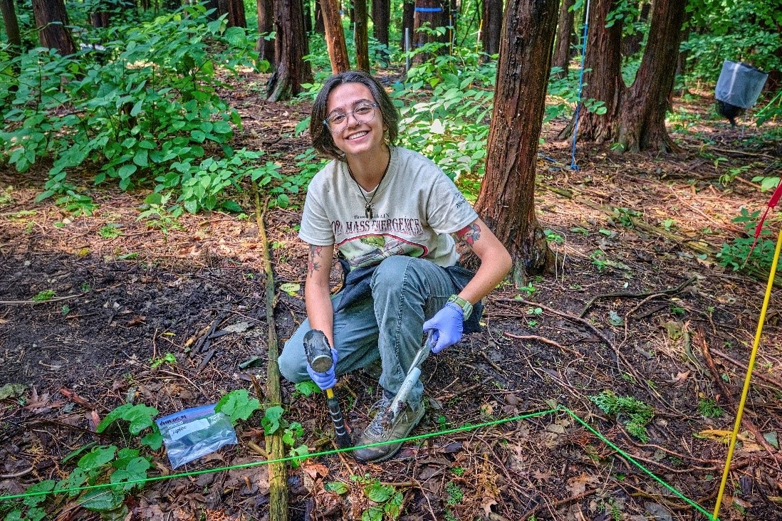 The Morton Arboretum