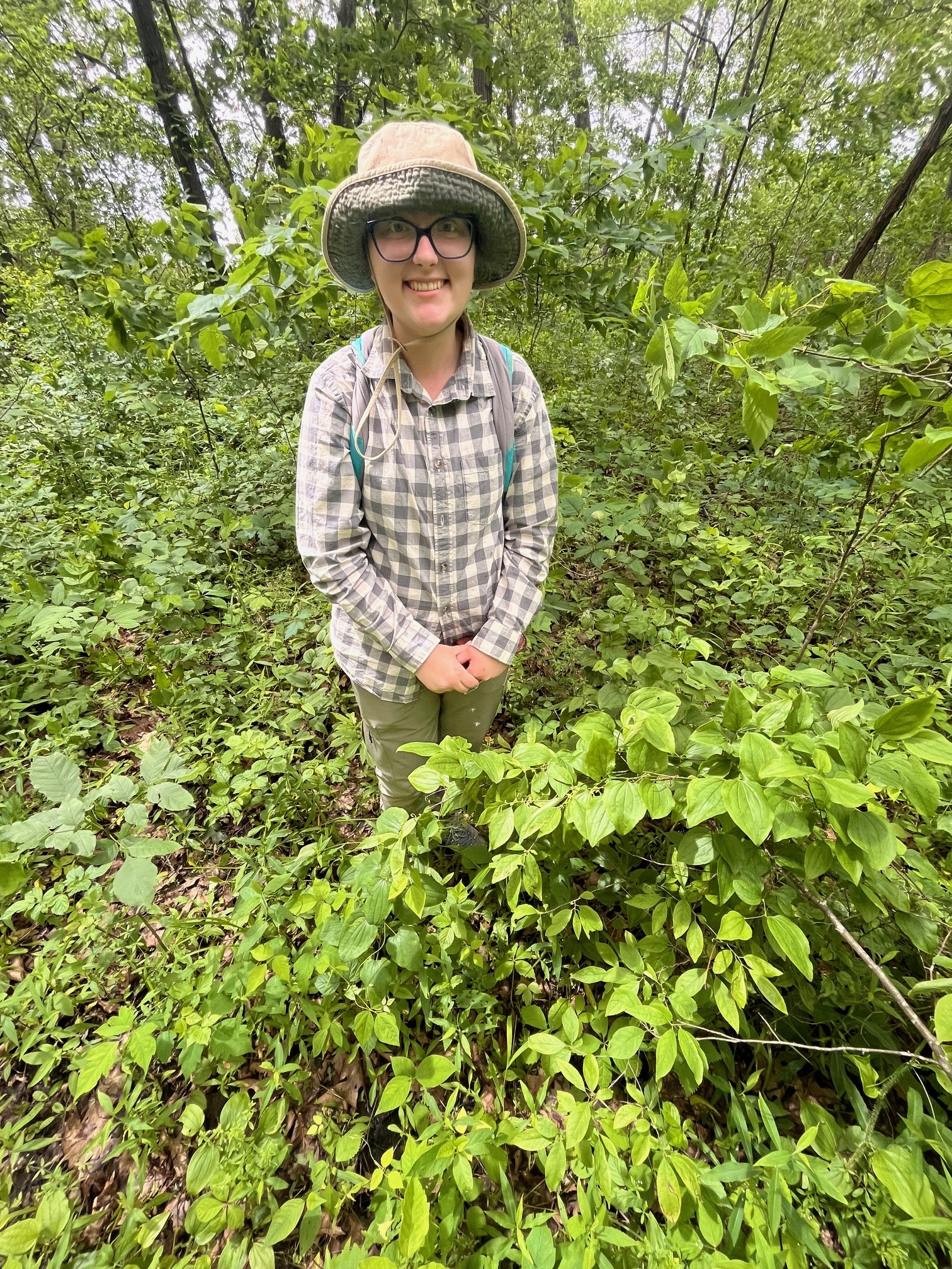 The Morton Arboretum