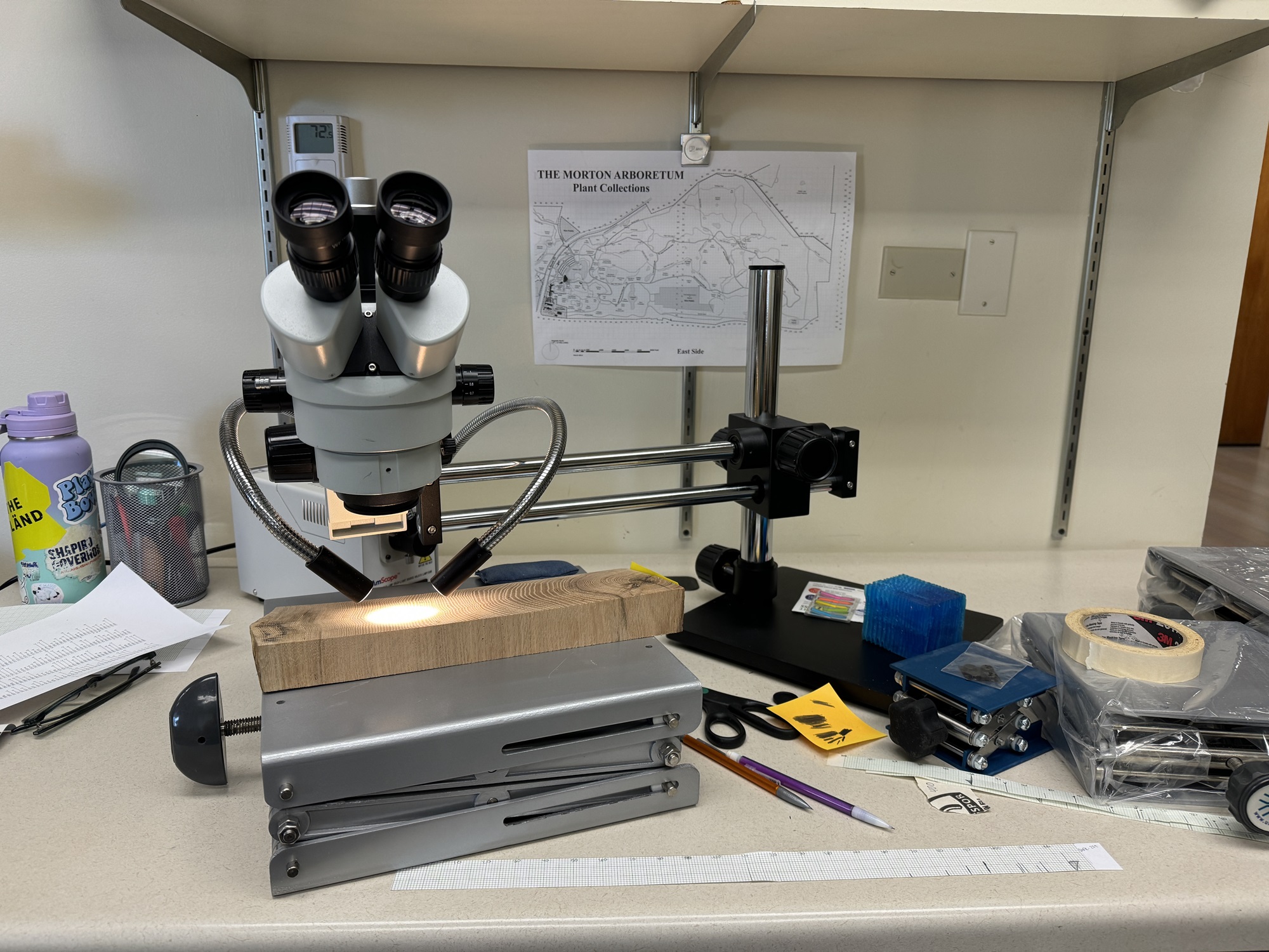 The Morton Arboretum