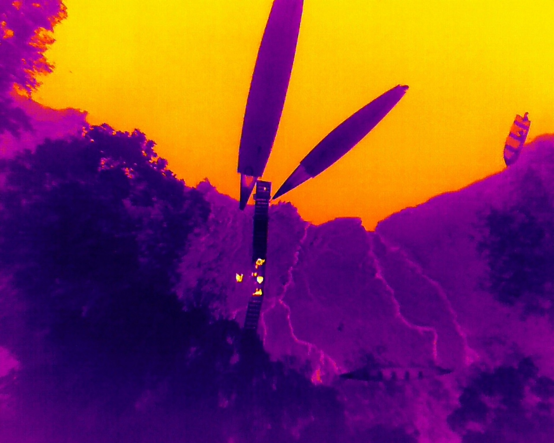 The Morton Arboretum