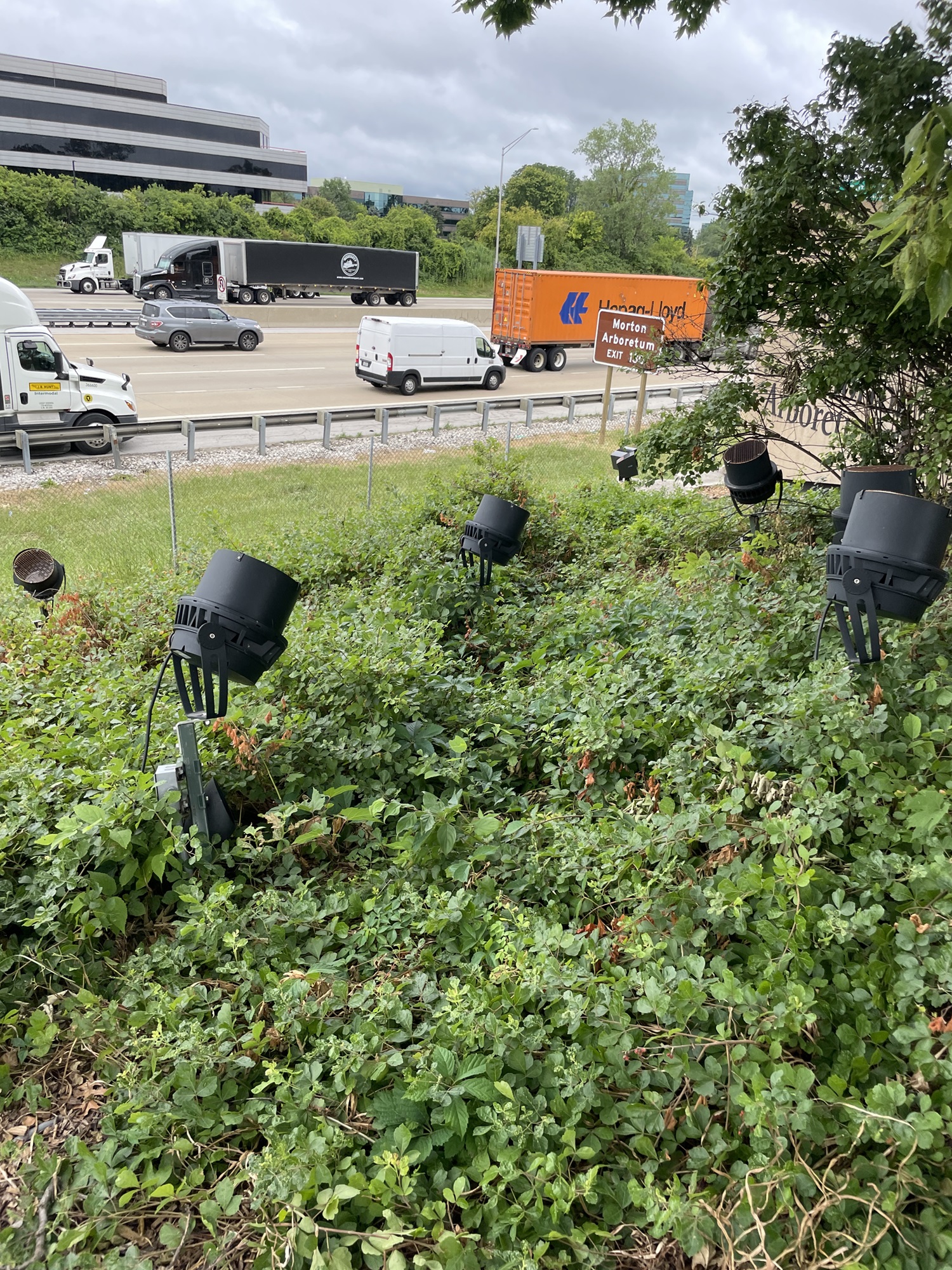 The Morton Arboretum