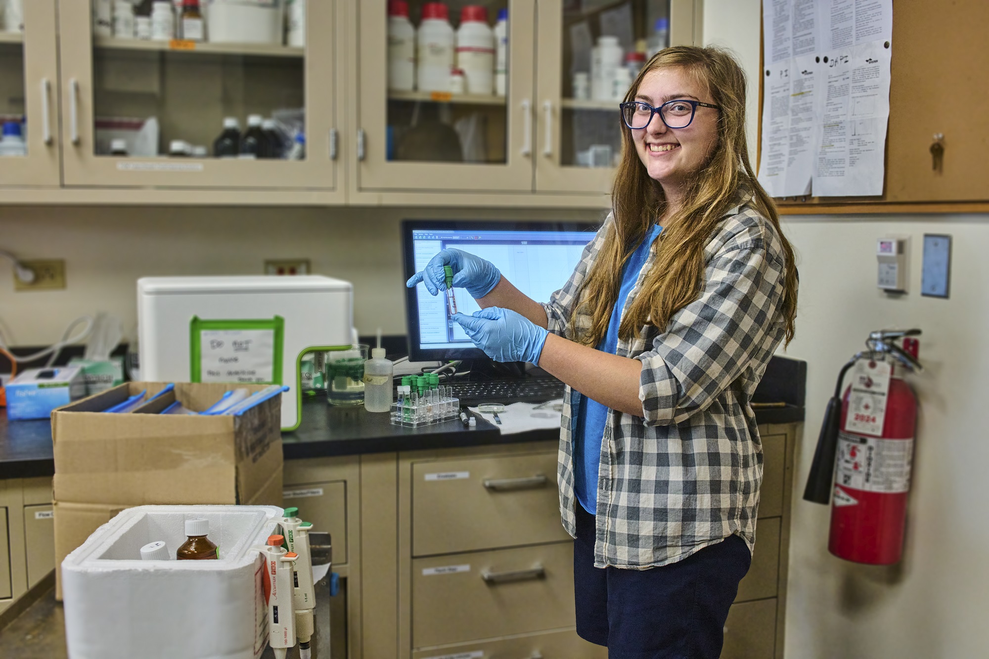 The Morton Arboretum