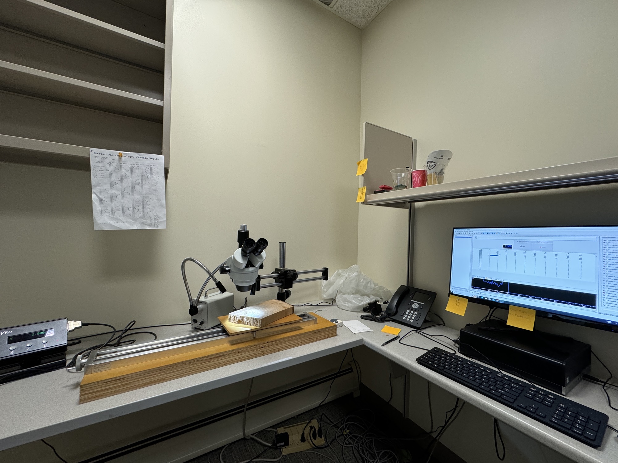 The Morton Arboretum