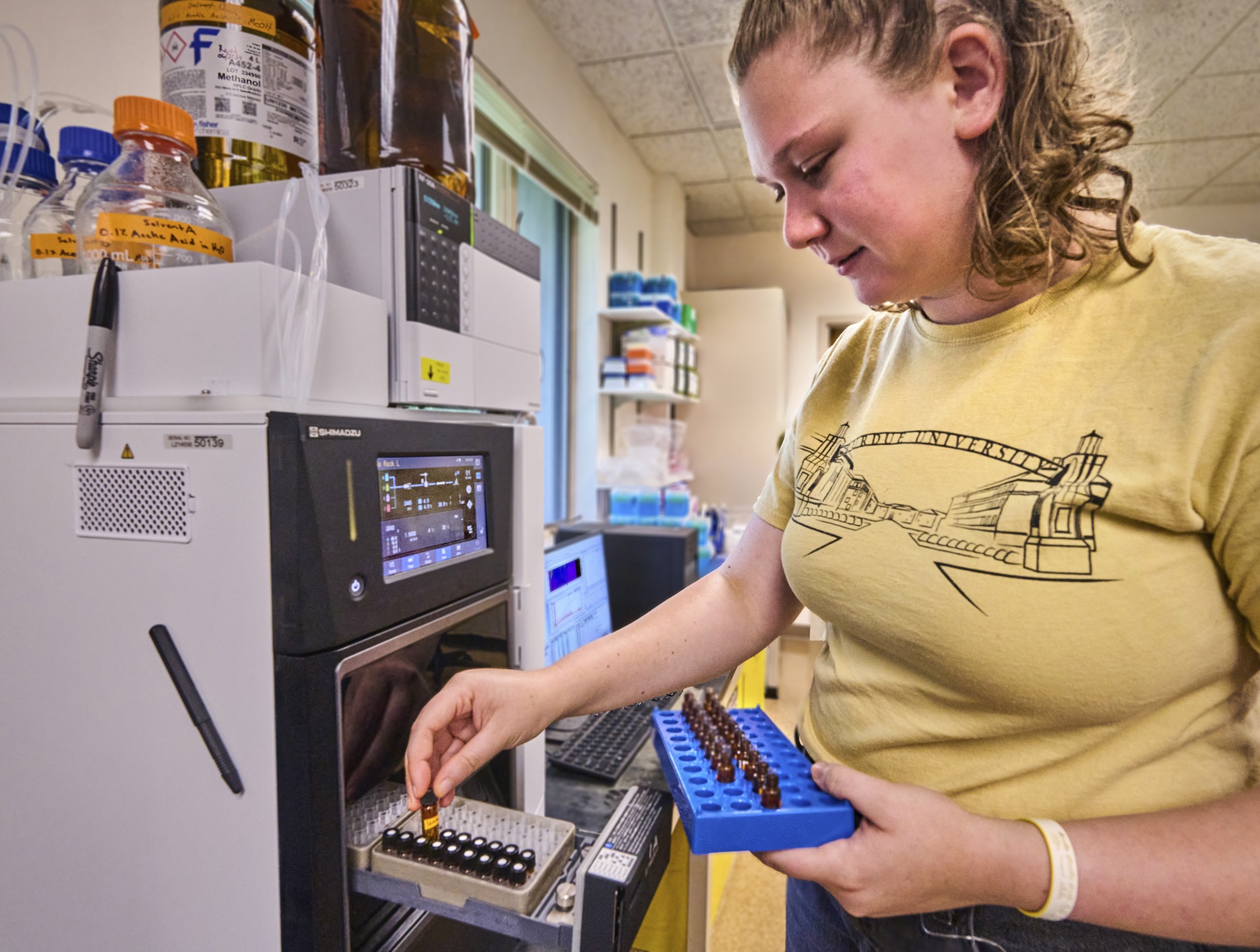 The Morton Arboretum