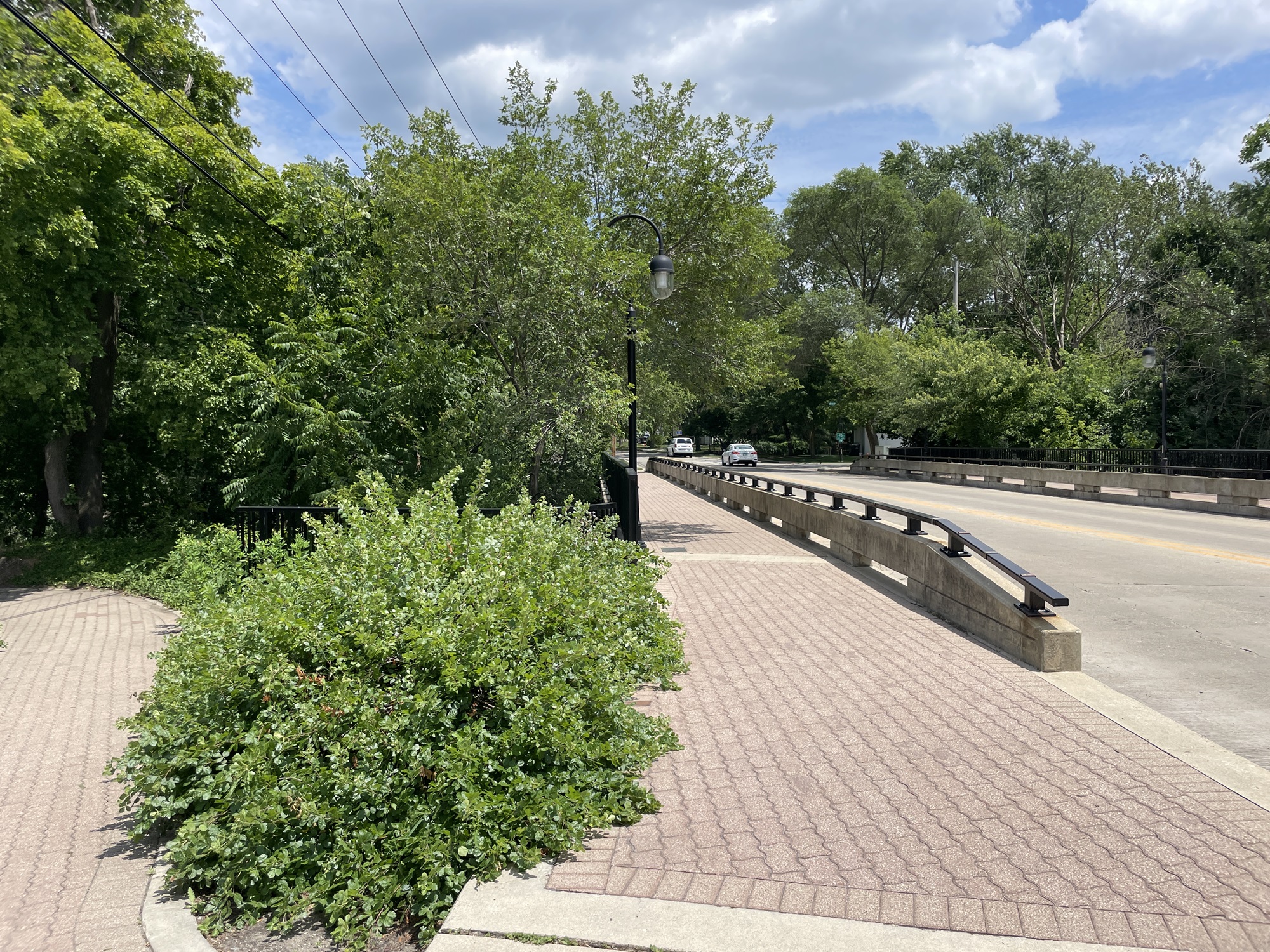 The Morton Arboretum