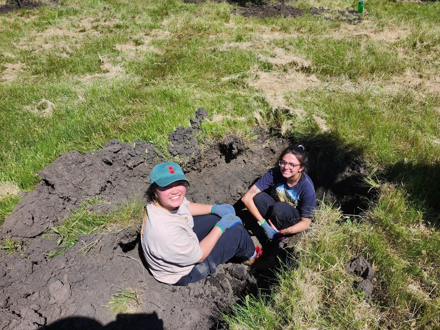 The Morton Arboretum
