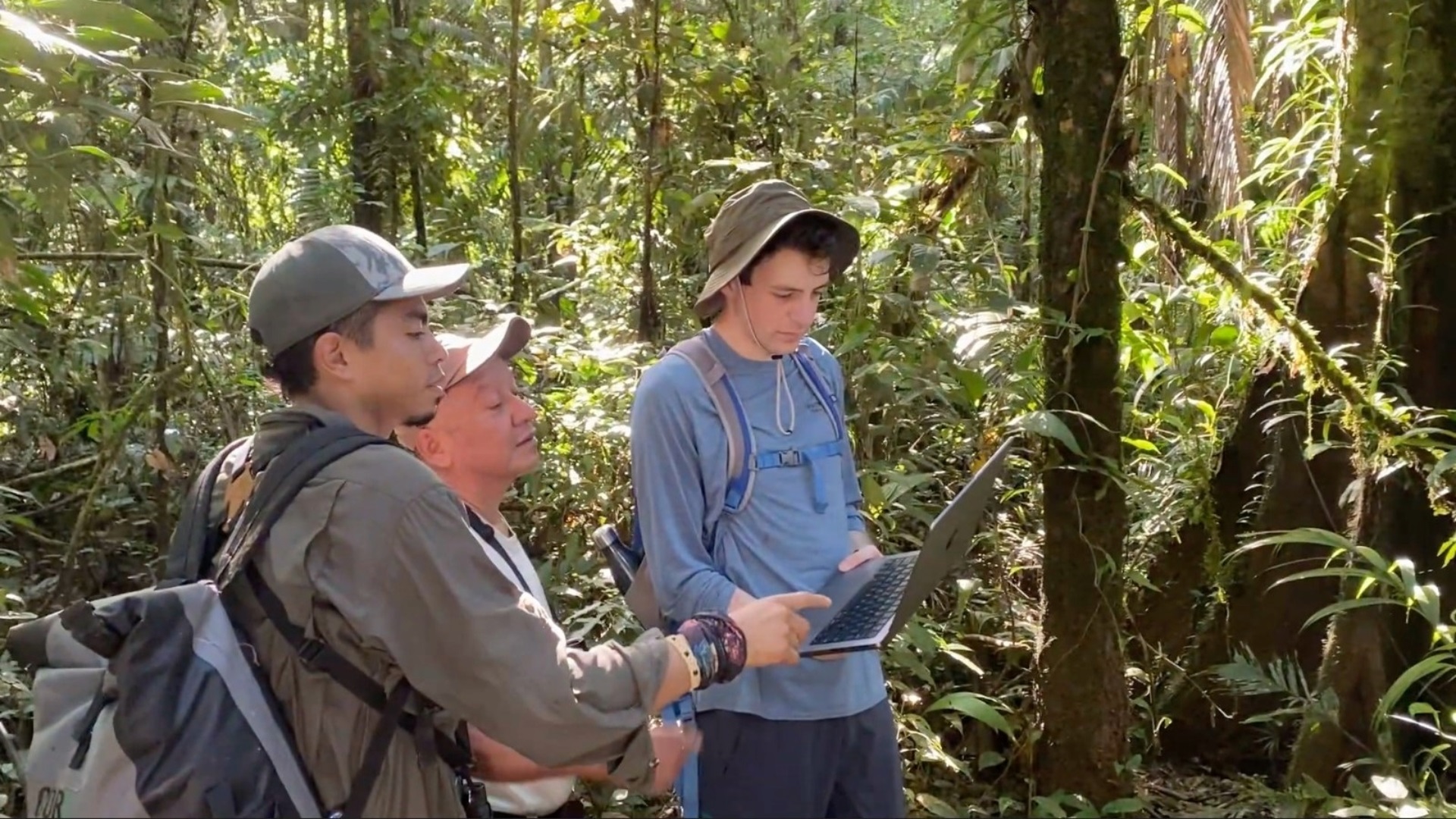 The Morton Arboretum